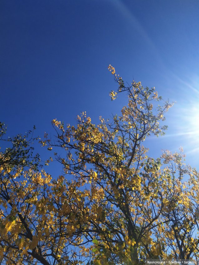 Экскурсия Джи Ен: Шаонинский Храм