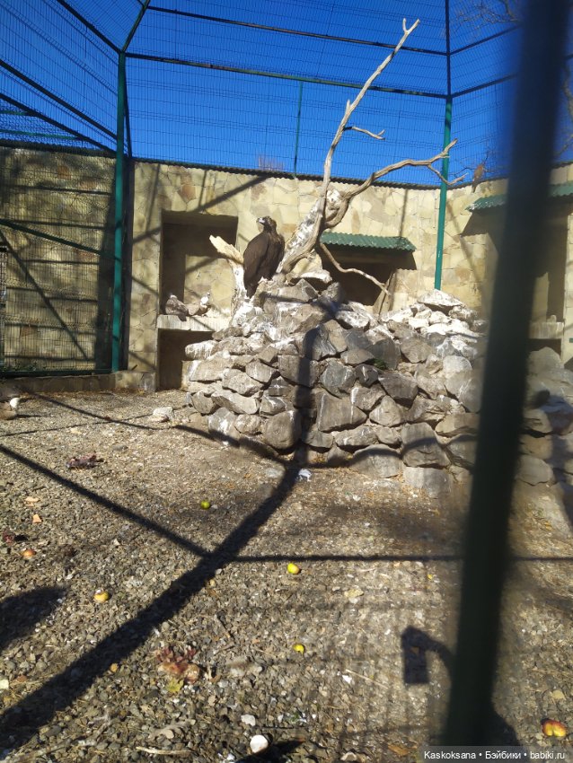 Экскурсия Джи Ен: прогулка в ущелье реки Алибек