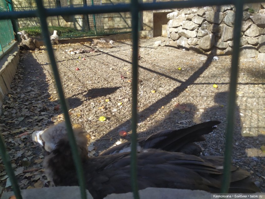 Экскурсия Джи Ен: прогулка в ущелье реки Алибек