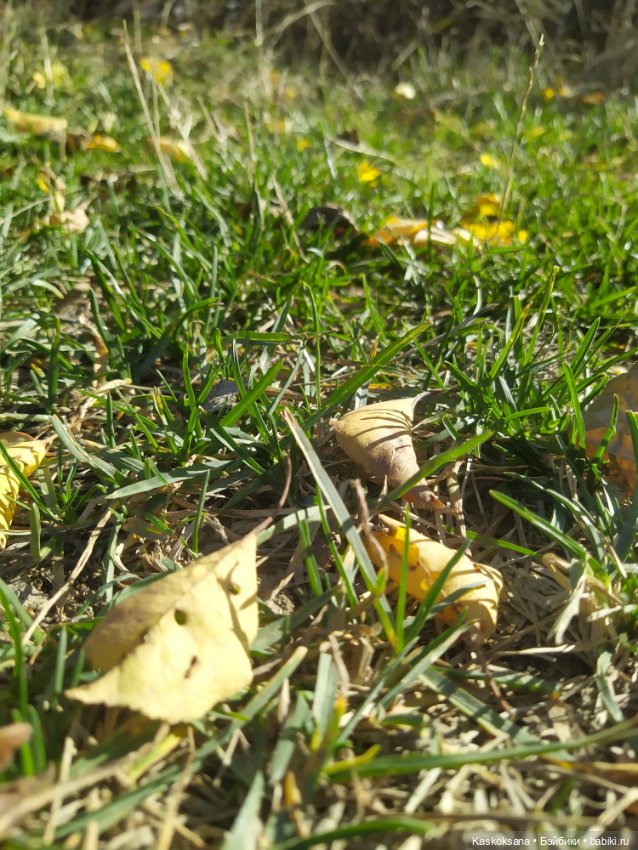 Экскурсия Джи Ен: Шаонинский Храм