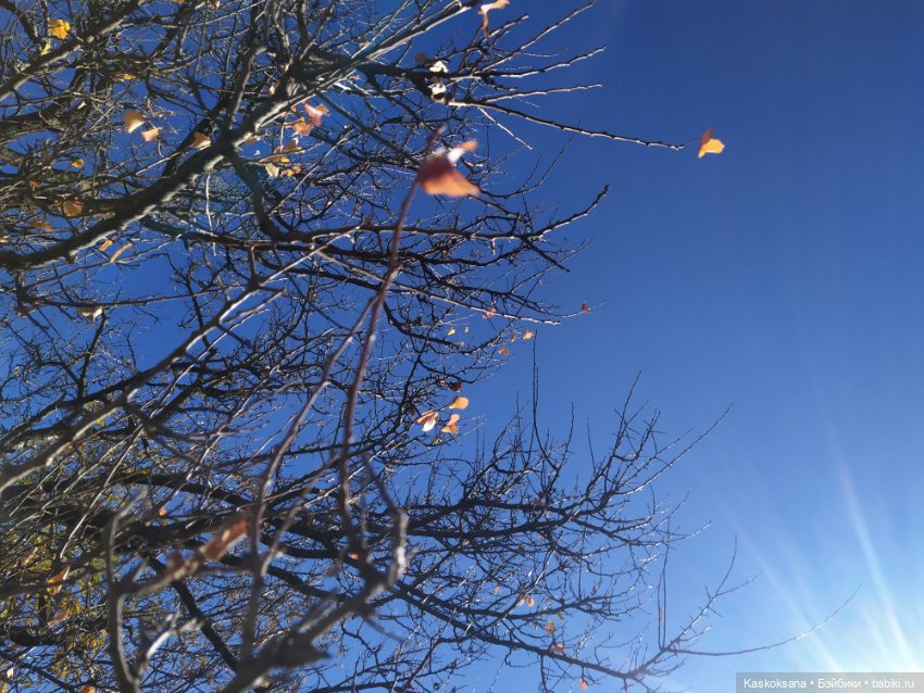 Экскурсия Джи Ен: Шаонинский Храм