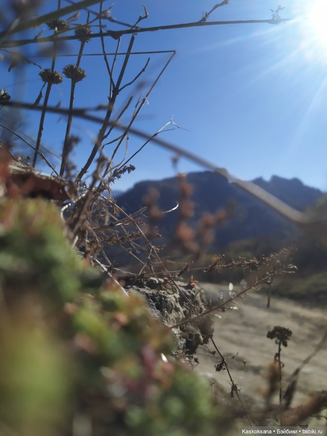 Экскурсия Джи Ен: Шаонинский Храм