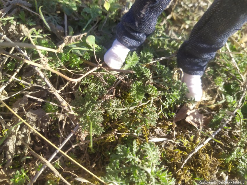 Экскурсия Джи Ен: дорога к древнему Храму