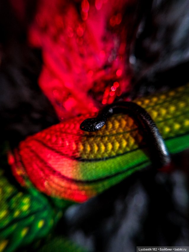 Хеллоуин 2023 — Коллекционные экшн (фото 5)