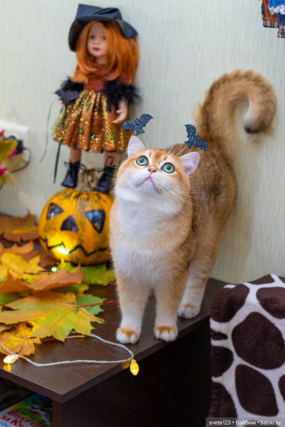 Поздравляем с Хэллоуином — Интересное и необычное: фотоподборки