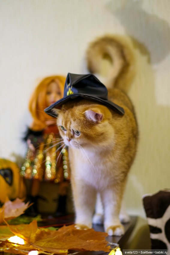 Поздравляем с Хэллоуином — Интересное и необычное: фотоподборки