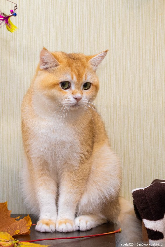 Поздравляем с Хэллоуином — Интересное и необычное: фотоподборки