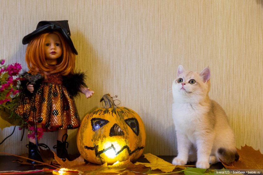 Поздравляем с Хэллоуином — Интересное и необычное: фотоподборки