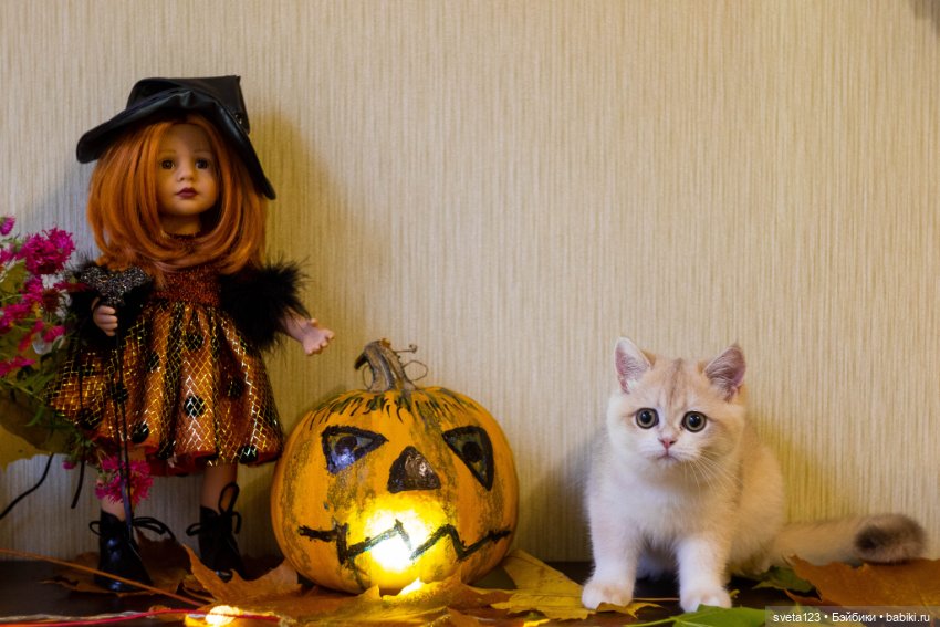 Поздравляем с Хэллоуином — Интересное и необычное: фотоподборки