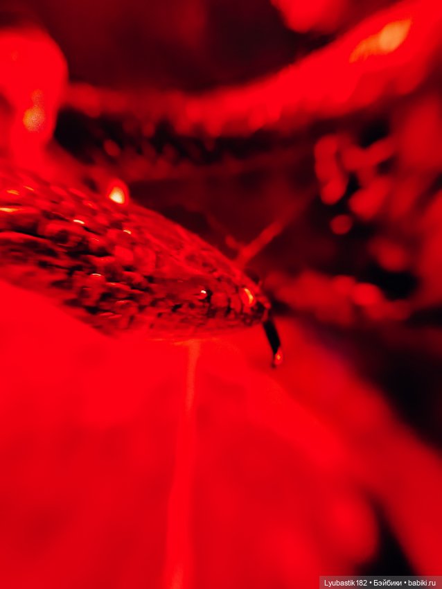 Хеллоуин 2023 — Коллекционные экшн