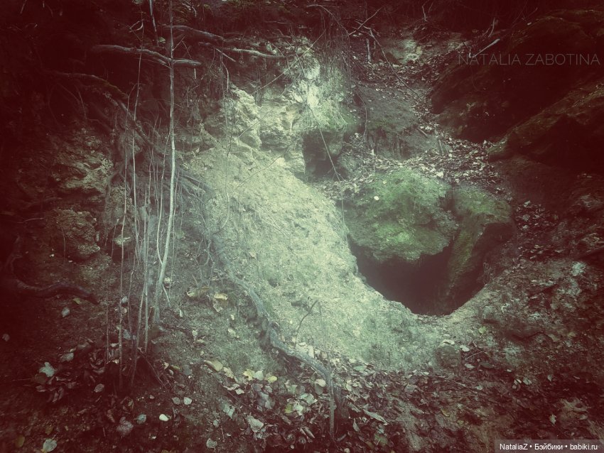 Сонная лощина — Куклы Ruby Red (Руби Ред) Fashion Friends: Siblies