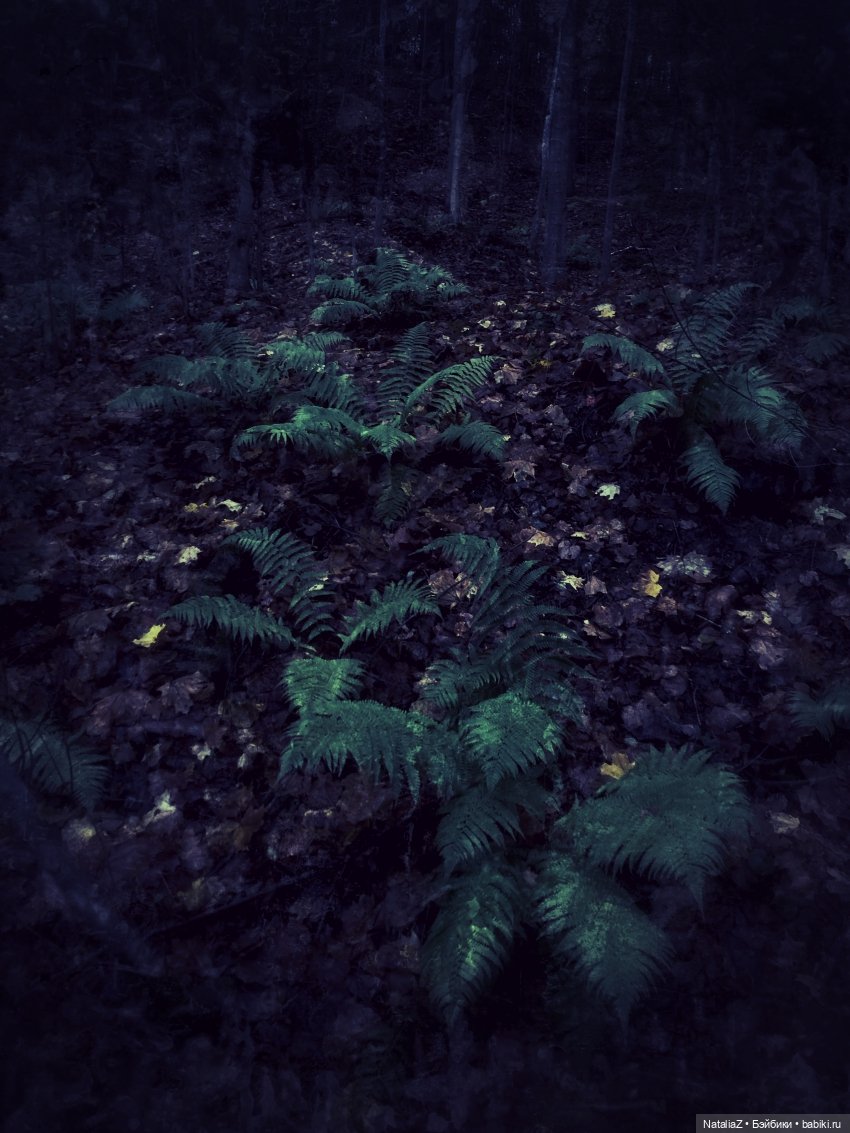 Сонная лощина — Куклы Ruby Red (Руби Ред) Fashion Friends: Siblies