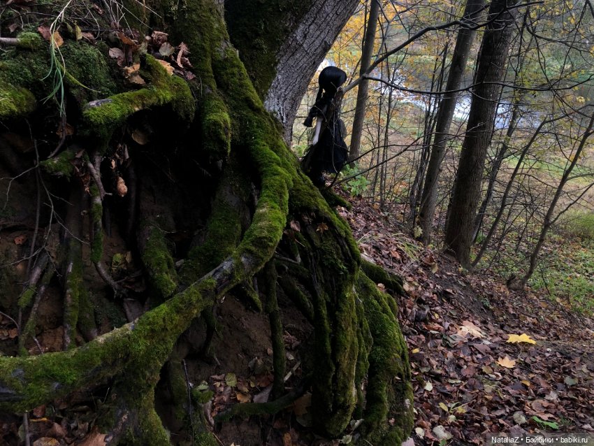 Сонная лощина — Куклы Ruby Red (Руби Ред) Fashion Friends: Siblies