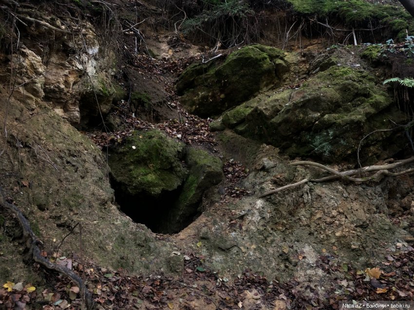 Сонная лощина — Куклы Ruby Red (Руби Ред) Fashion Friends: Siblies