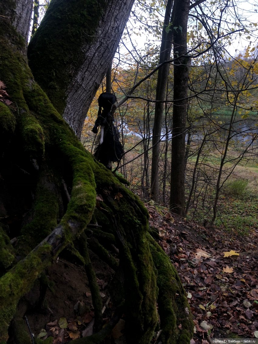 Сонная лощина — Куклы Ruby Red (Руби Ред) Fashion Friends: Siblies