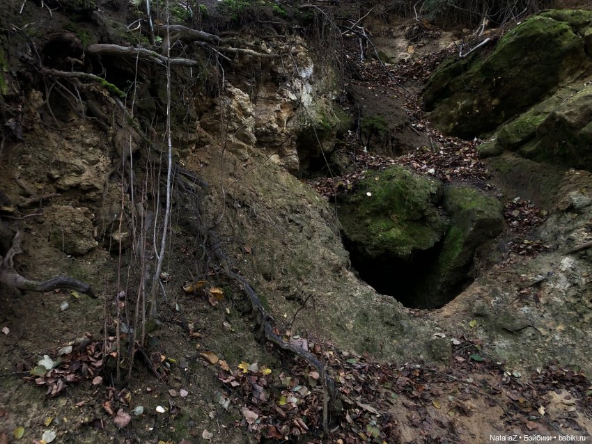 Сонная лощина — Куклы Ruby Red (Руби Ред) Fashion Friends: Siblies