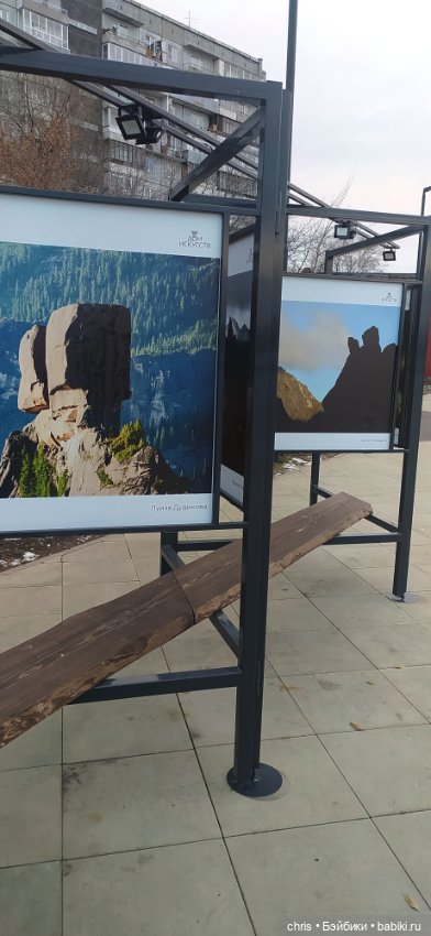 Прогулка с Басиками — Кот Басик (фото 6)