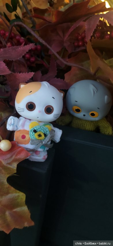 Прогулка с Басиками — Кот Басик (фото 10)