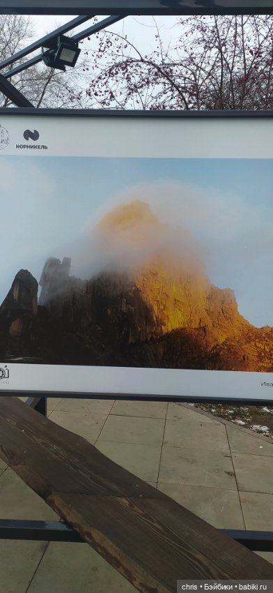 Прогулка с Басиками — Кот Басик (фото 7)