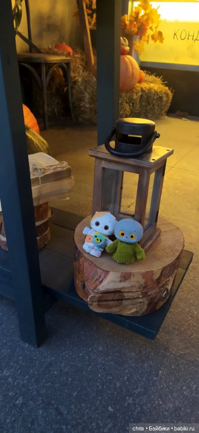 Прогулка с Басиками — Кот Басик