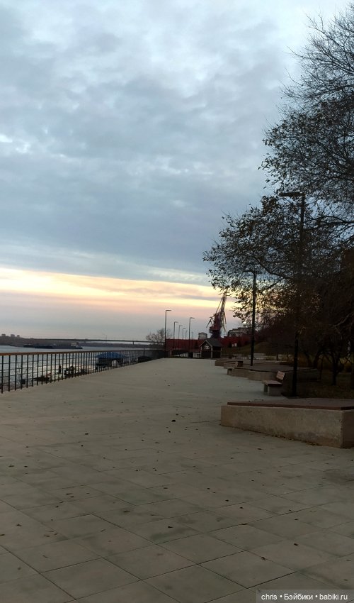 Прогулка с Басиками — Кот Басик (фото 5)