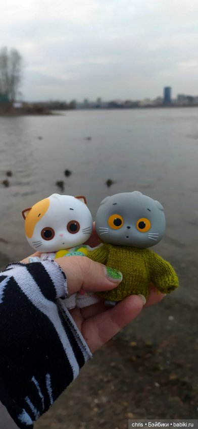 Прогулка с Басиками — Кот Басик (фото 9)