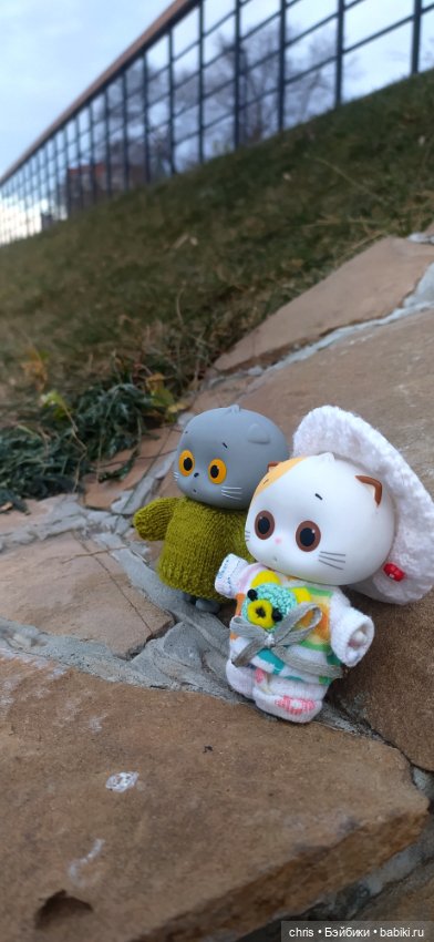 Прогулка с Басиками — Кот Басик