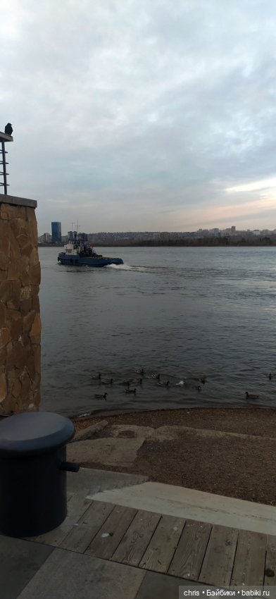 Прогулка с Басиками — Кот Басик (фото 4)