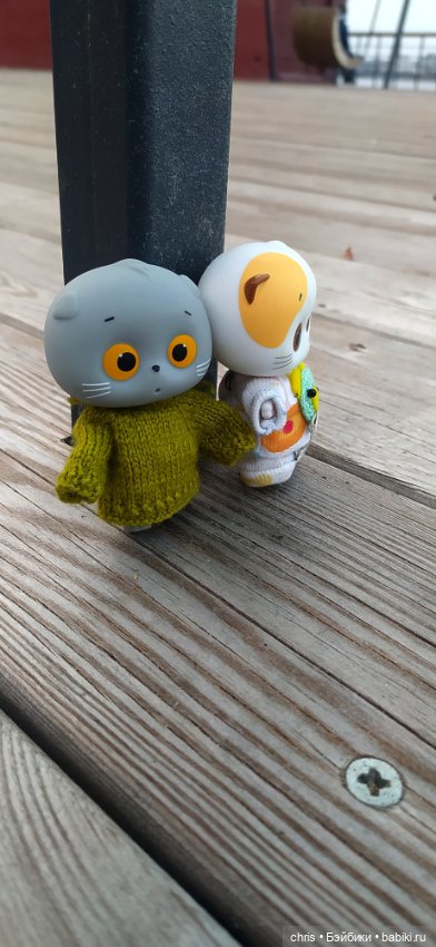 Прогулка с Басиками — Кот Басик (фото 2)