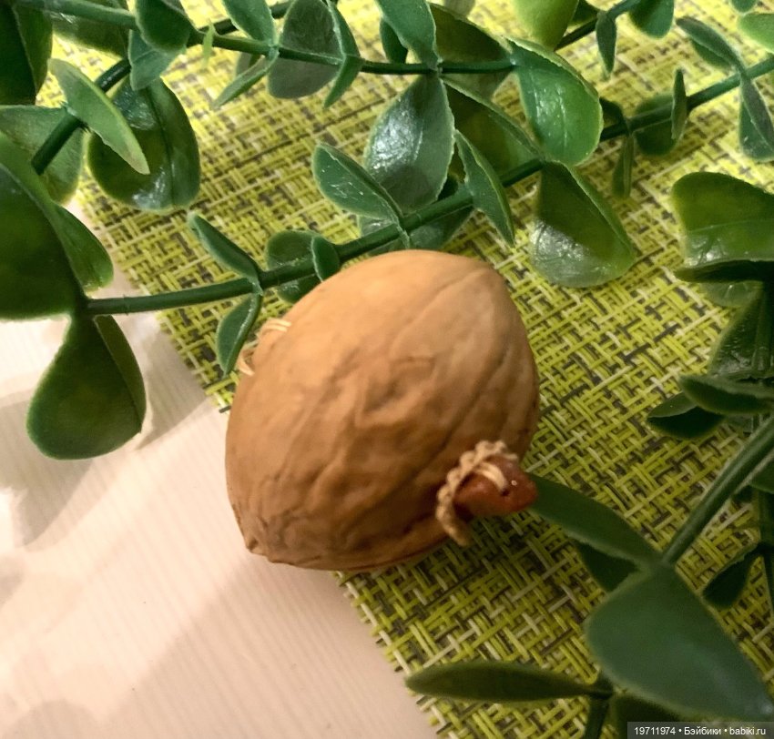 Мой сказочный мини-мир — Вязаные игрушки и амигуруми: крючком (фото 3)