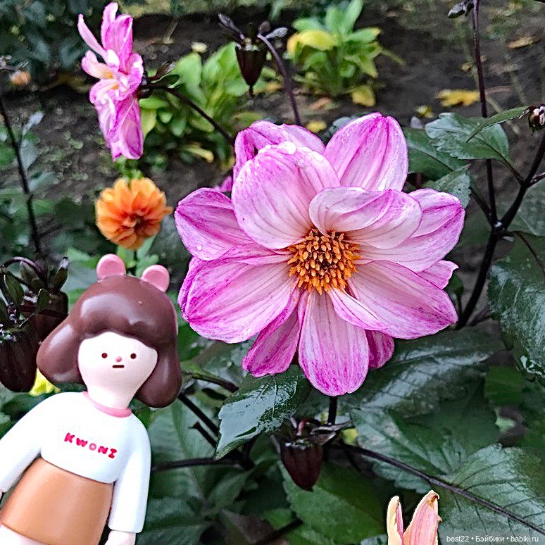 Октябрьские фото Kwoni — Коллекционные фигурки (разное): животные (фото 9)