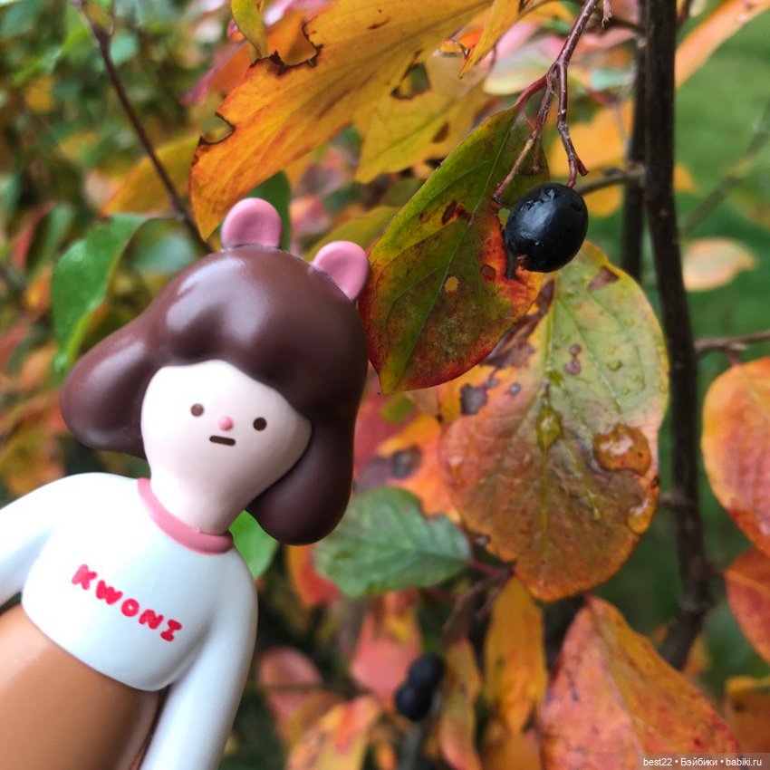 Октябрьские фото Kwoni — Коллекционные фигурки (разное): животные (фото 5)