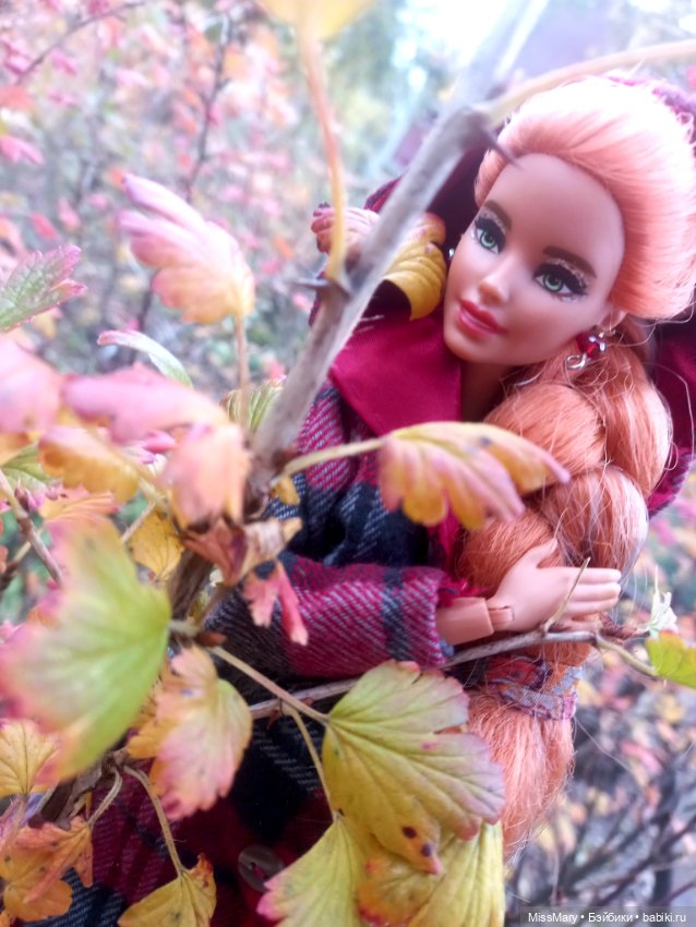 Айрис - портрет Осени — Куклы Barbie (Барби): Looks