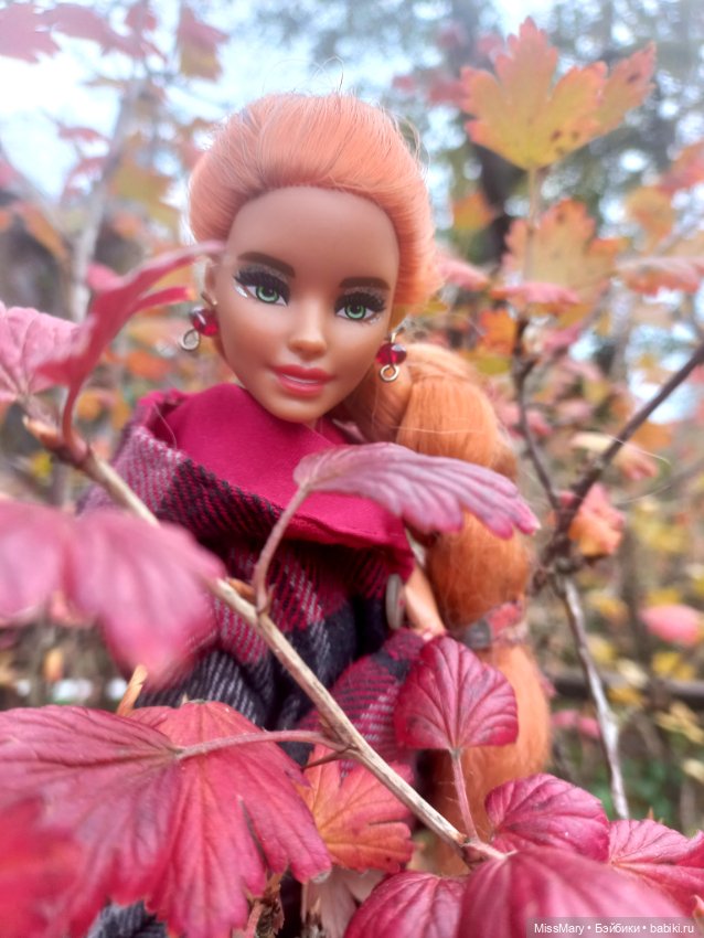 Айрис - портрет Осени — Куклы Barbie (Барби): Looks
