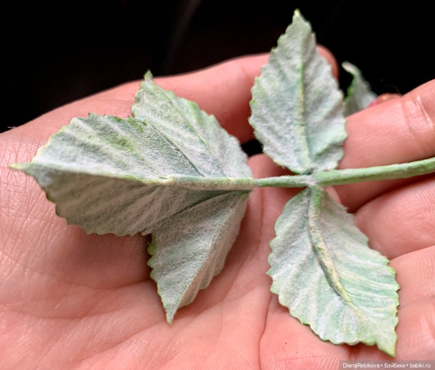 Ветка малины со светящимися ягодами (фото 10)