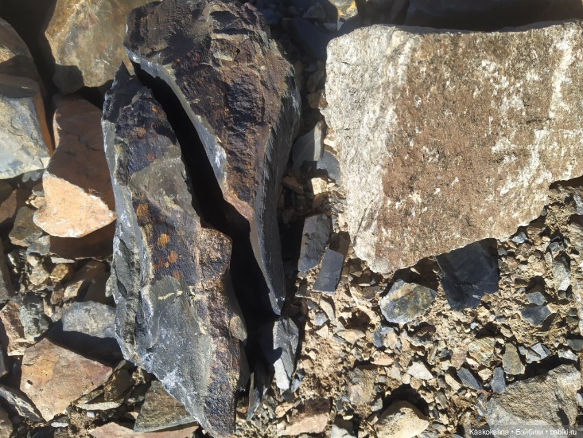 Экскурсия Джи Ен: гора Мусса-Ачитара (фото 5)