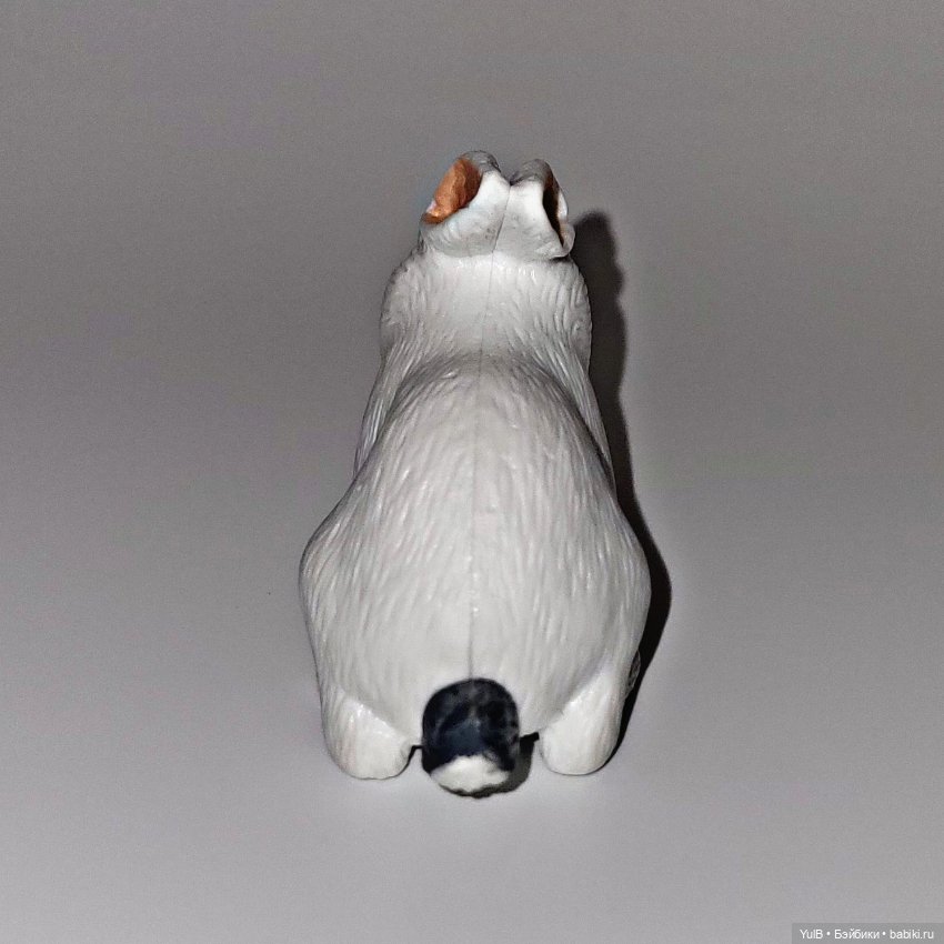 ...Животных много не бывает (фото 3)