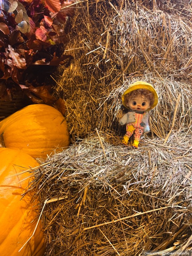 Фото с прогулки — Авторские куклы BJD (БЖД) у нас дома: фото (фото 10)