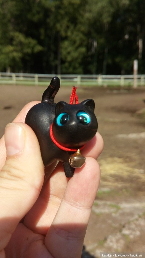 День чёрных котиков. Санни и Ко