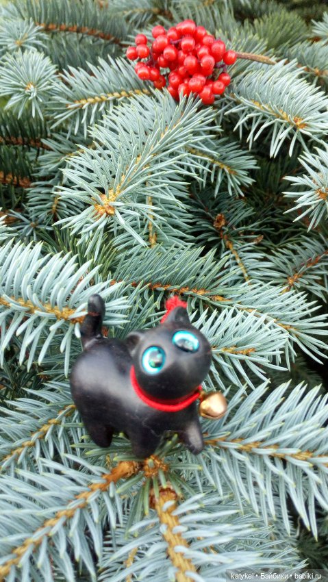 День чёрных котиков. Санни и Ко (фото 2)