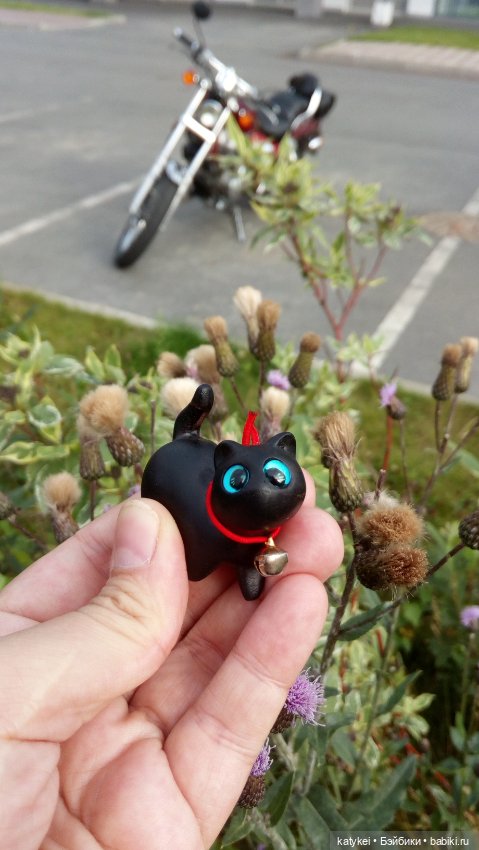 День чёрных котиков. Санни и Ко