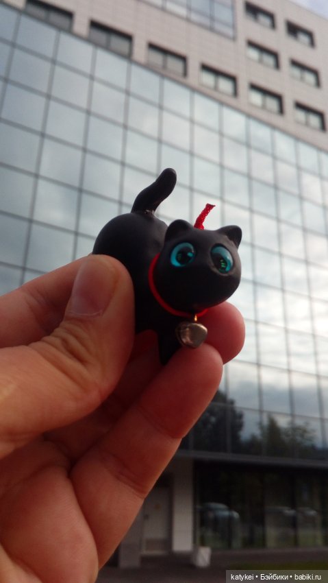 День чёрных котиков. Санни и Ко