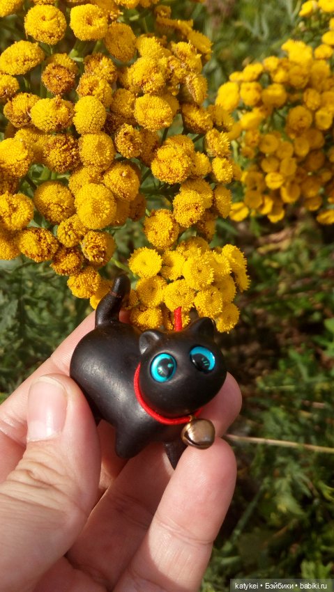 День чёрных котиков. Санни и Ко