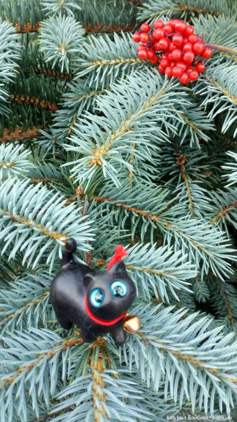 День чёрных котиков. Санни и Ко (фото 3)