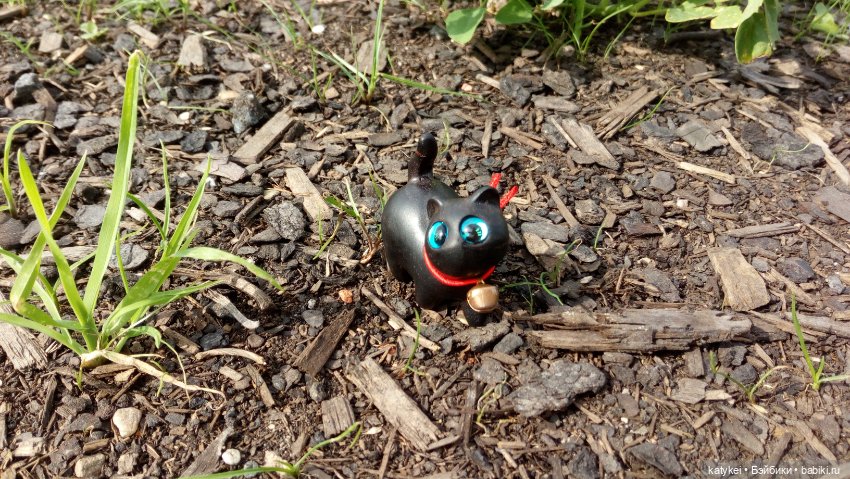 День чёрных котиков. Санни и Ко