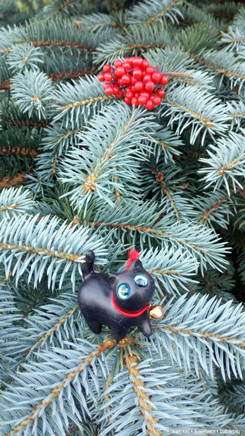 День чёрных котиков. Санни и Ко