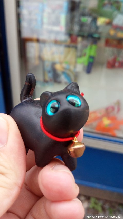 День чёрных котиков. Санни и Ко