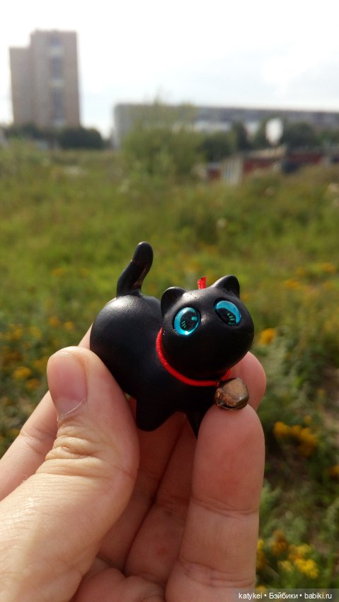 День чёрных котиков. Санни и Ко