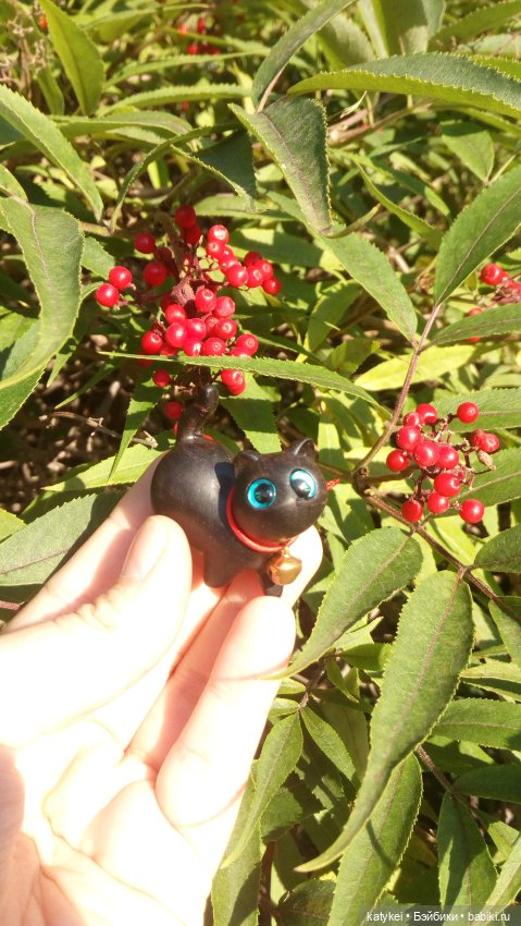 День чёрных котиков. Санни и Ко (фото 5)