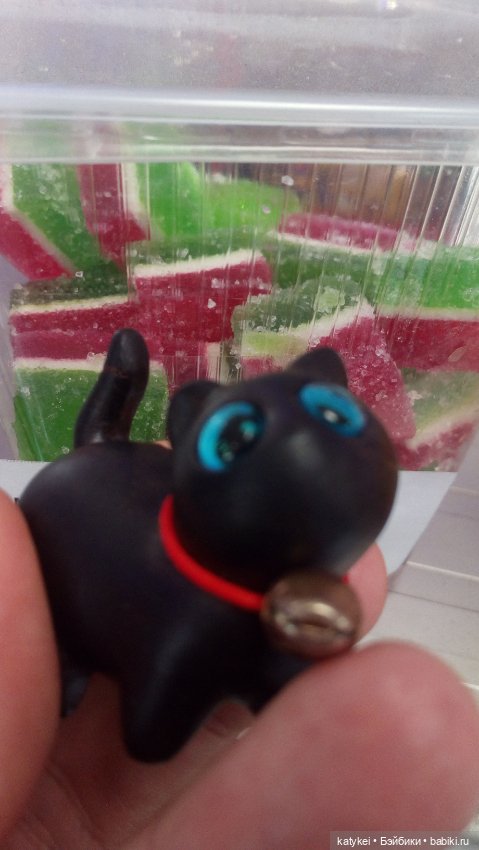 День чёрных котиков. Санни и Ко